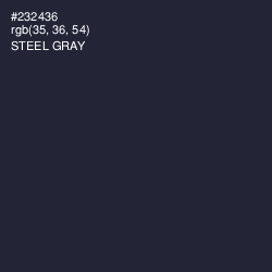 #232436 - Steel Gray Color Image
